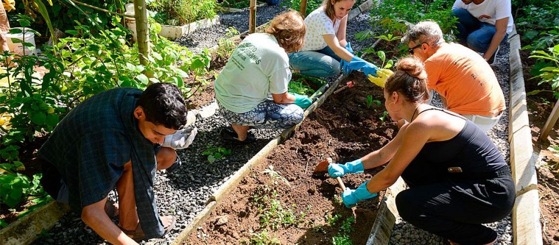 Grupo de pessoas mexendo na terra de uma horta comunitária.