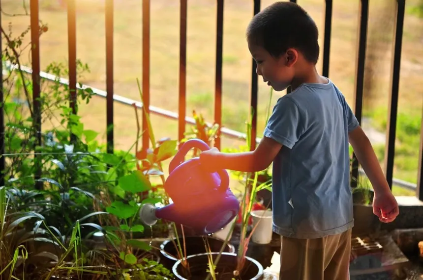 Menino pequeno regando plantas.